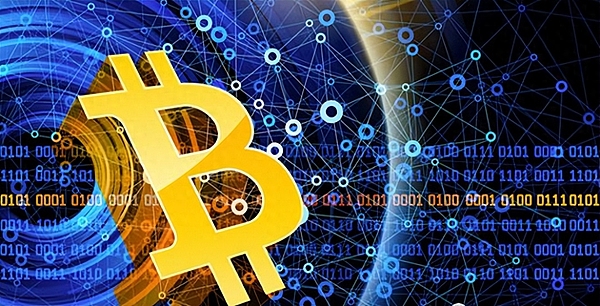 如何通过NFT合约地址精准获取项目数据？一份实用指南